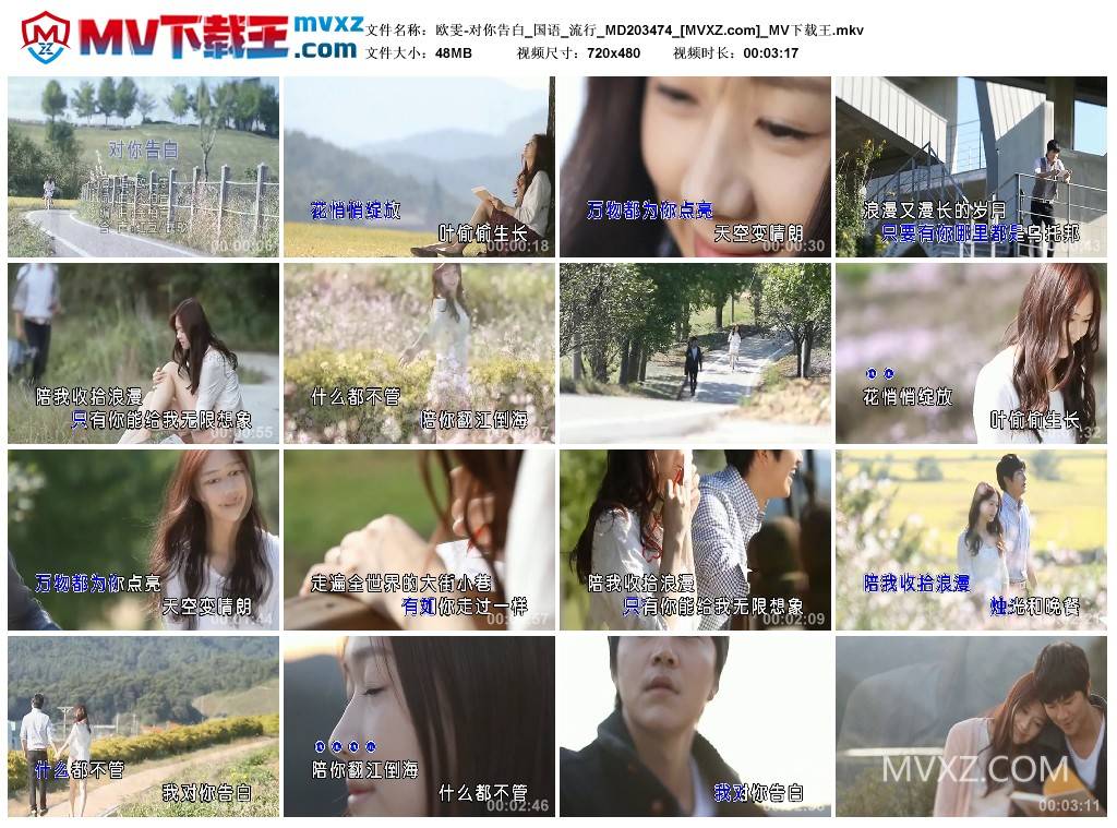 欧雯-对你告白_国语_流行_MD203474